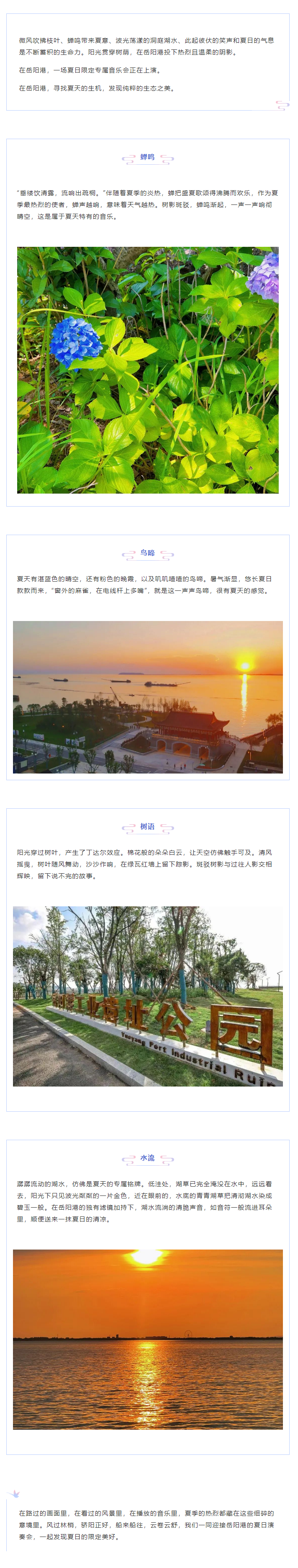 【夏日演奏會(huì)】在岳陽港，聆聽夏天的聲音.png